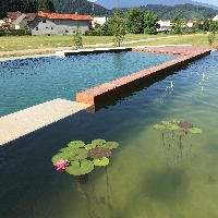 Referenčne slike Medena vas - BeeLand Mozirje