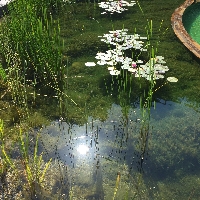 Referenčne slike Herbal glamping resort Ljubno